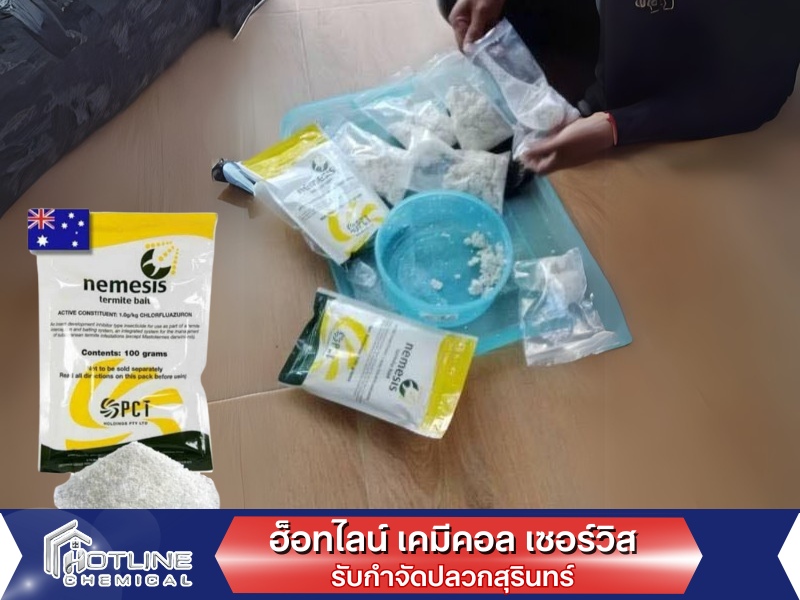 รับวางเหยื่อกำจัดปลวกสุรินทร์